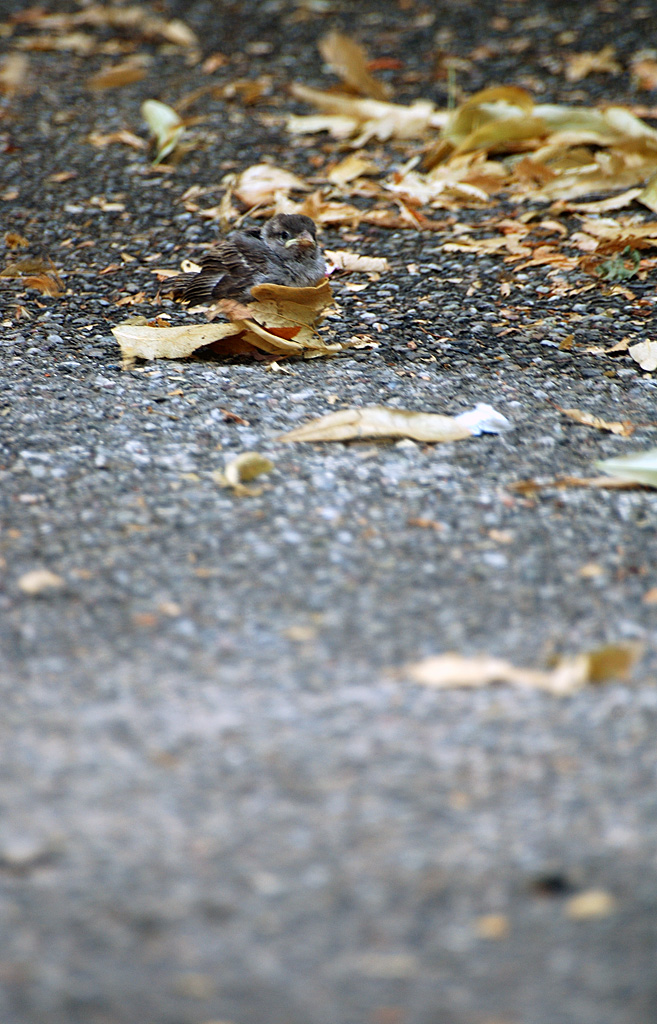 réconfort