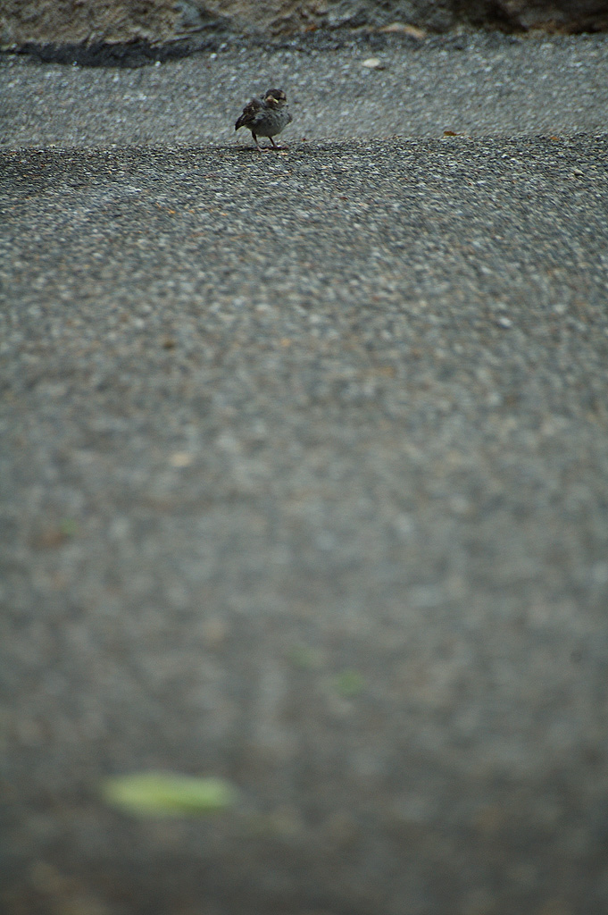 réconfort