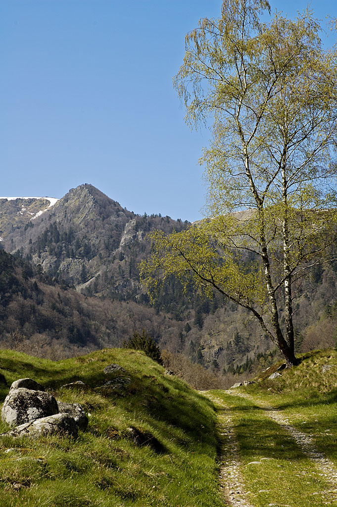 les montagnes colmarienne