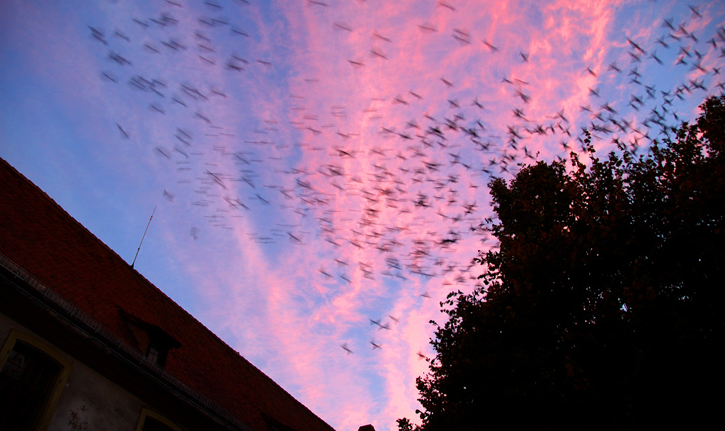 concours artistique de la Ville de Colmar pour promouvoir la création artistique à Colmar