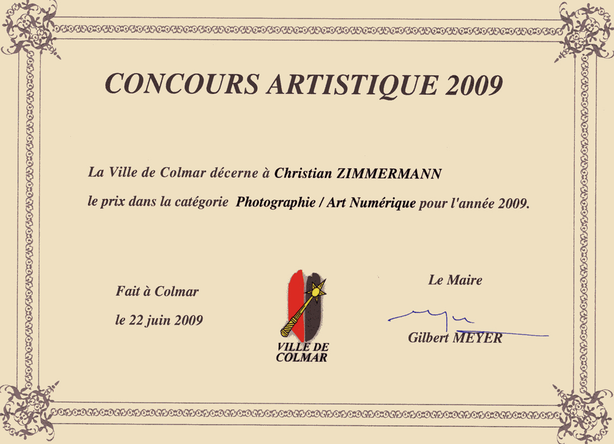 Syndrome du jumeau fantôme