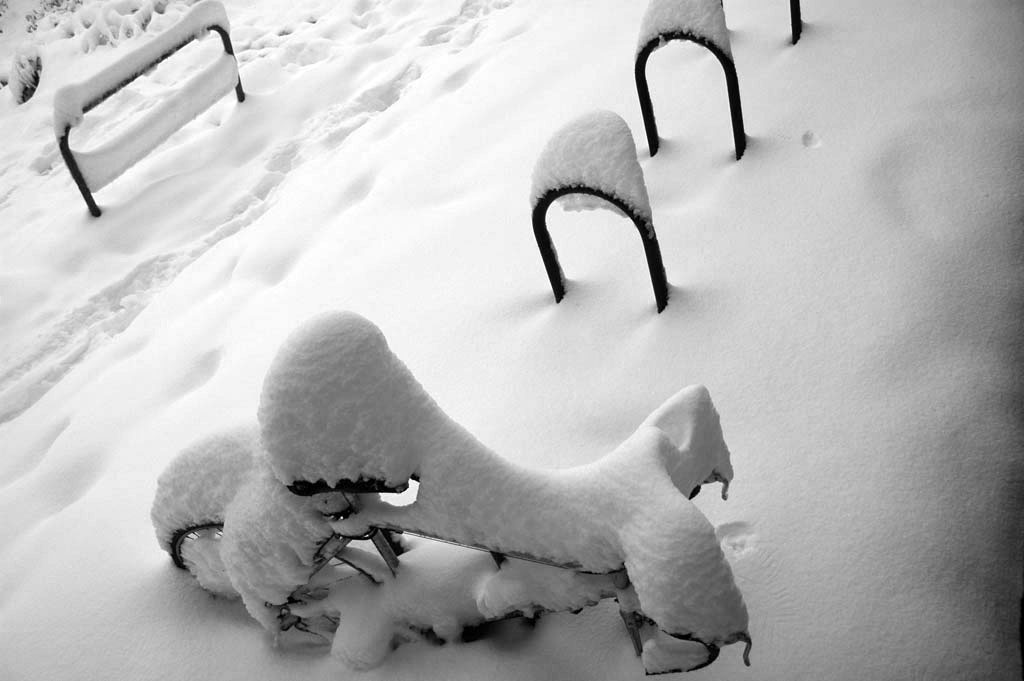 Syndrome du jumeau fantôme