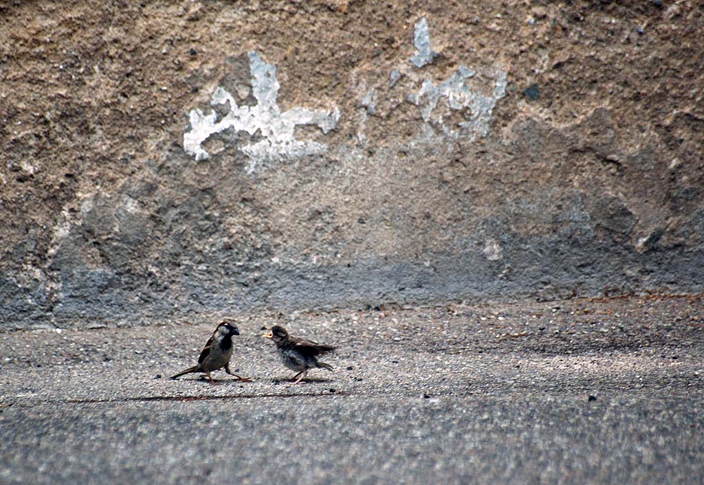 C'est de la torture, j'ai faim moi