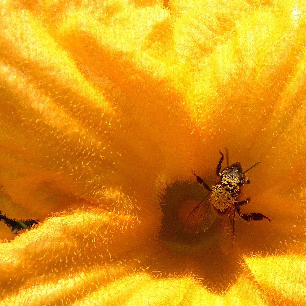 C'est de la torture, j'ai faim moi