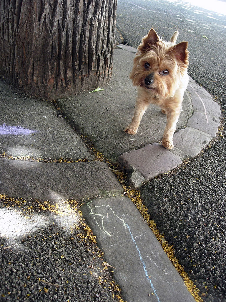 concours artistique de la Ville de Colmar pour promouvoir la création artistique à Colmar