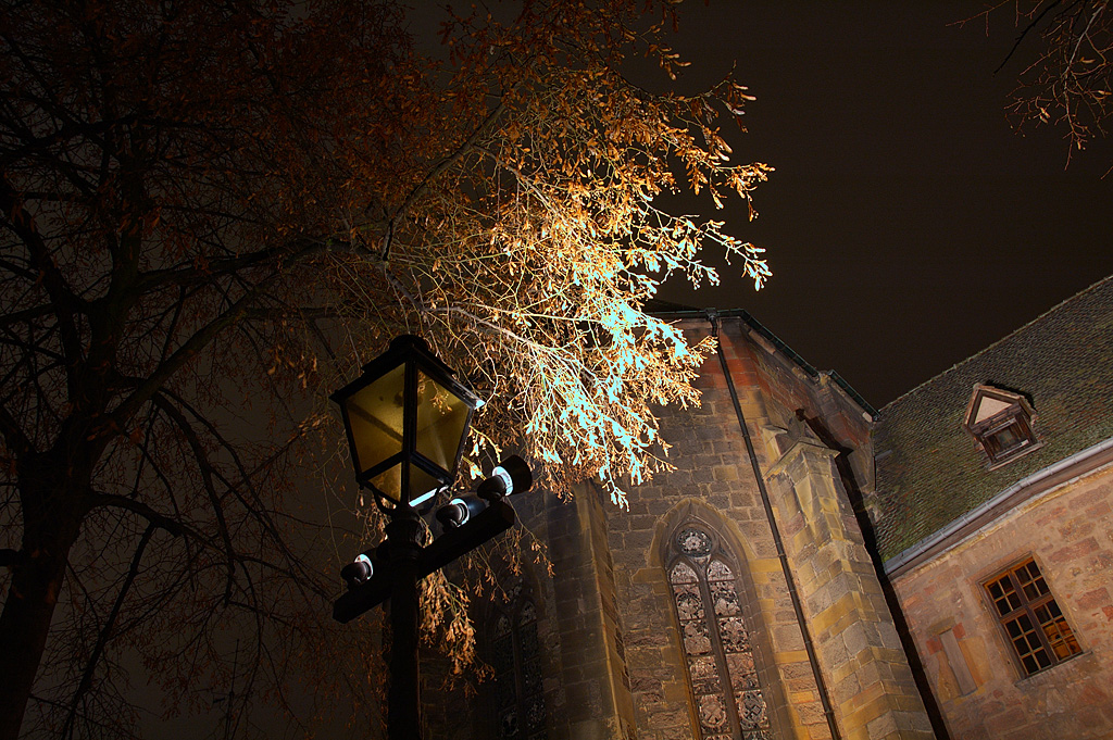 les montagnes colmarienne