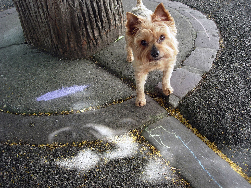 concours artistique de la Ville de Colmar pour promouvoir la création artistique à Colmar