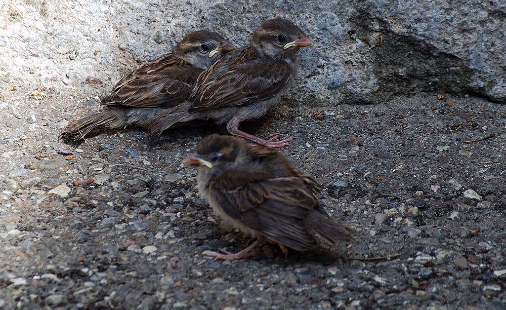 C'est de la torture, j'ai faim moi