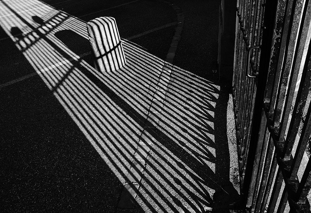 Syndrome du jumeau fantôme